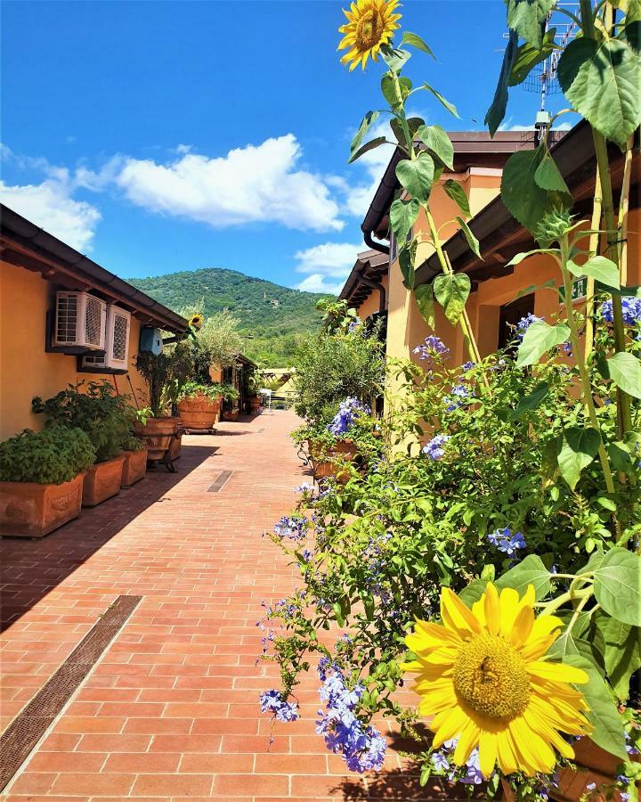 "La Terrazza Di Castiglione" Appartamenti Vacanza Кастильоне дела Пеская Екстериор снимка